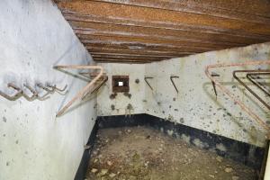 Ligne Maginot - WASENBERG 5 - (Blockhaus pour canon) - 