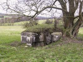 Ligne Maginot - WOLFSREDGEN OUEST - (Blockhaus pour canon) - 