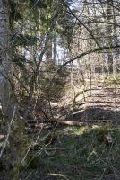 Ligne Maginot - FERME DE HEILIGENBRONN - (153° RIF - 59° RAMF) - (PC de Sous-Secteur) - Une tranchée 39/40 où 44/45 