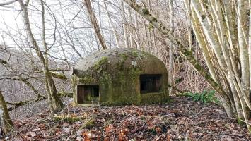 Ligne Maginot - FROHMUHL (PC DU QUARTIER KAPELLENHOF - II/153° RIF) - (Abri) - Extérieur de la cloche Guetteur Fusil Mitrailleur du coffre d'entrée Ouest