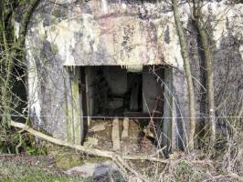 Ligne Maginot - HAMMELSWIESE  8 - (Blockhaus pour canon) - L'entrée du matériel