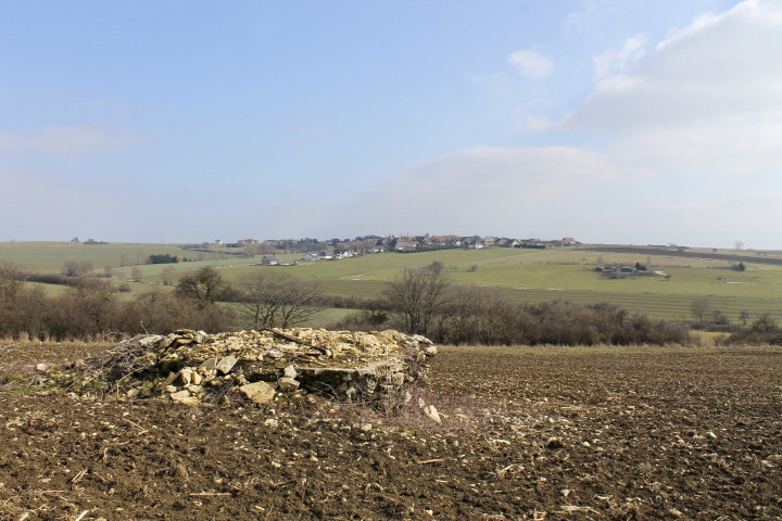 Ligne Maginot - SCHITTEFELD 3 - (Abri) - En arrière plan le village de Singling