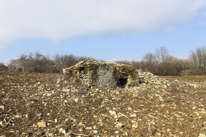 Ligne Maginot - SCHITTEFELD 3 - (Abri) - Vue générale