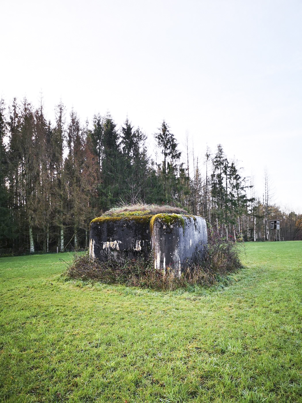 Ligne Maginot - WASENBERG 6 - (Blockhaus pour arme infanterie) - Vue générale