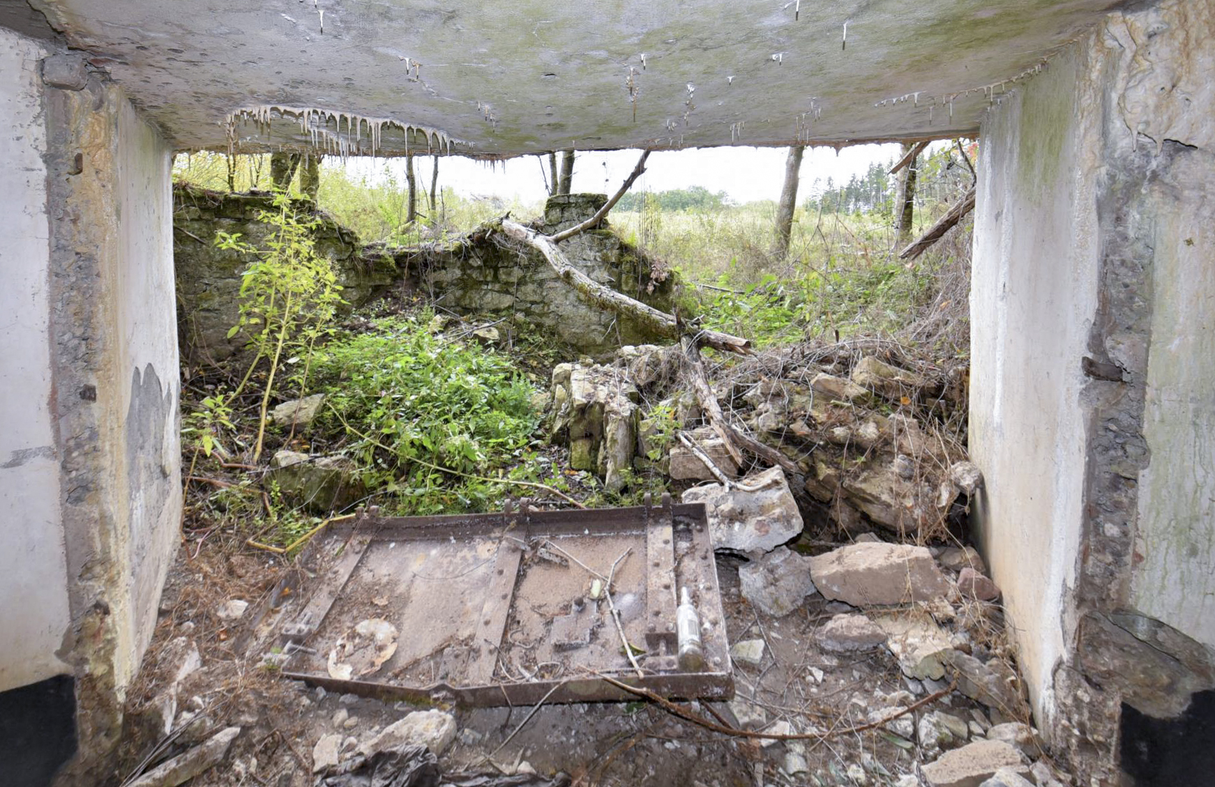 Ligne Maginot - WASENBERG 5 - (Blockhaus pour canon) - 