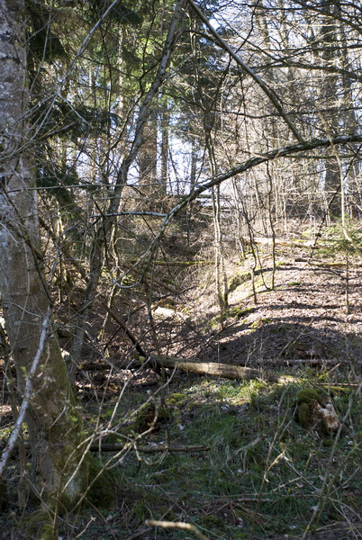 Ligne Maginot - FERME DE HEILIGENBRONN - (153° RIF - 59° RAMF) - (PC de Sous-Secteur) - Une tranchée 39/40 où 44/45 
