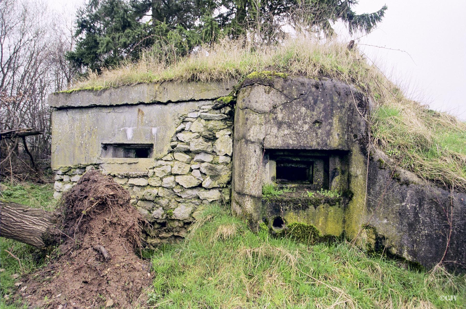 Ligne Maginot - FERME DES TUILERIES - BITCHERBERG 1 - (Blockhaus pour canon) - 