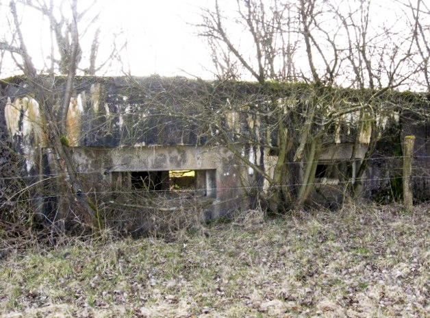 Ligne Maginot - HAMMELSWIESE  8 - (Blockhaus pour canon) - Le créneau canon et  de mitrailleuse