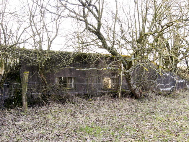 Ligne Maginot - HAMMELSWIESE  8 - (Blockhaus pour canon) - Mur d'aile
Deux faux créneaux