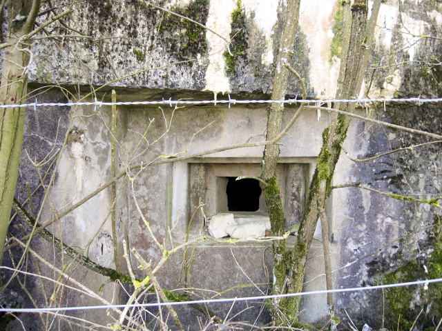 Ligne Maginot - HAMMELSWIESE  8 - (Blockhaus pour canon) - Créneau mitrailleuse