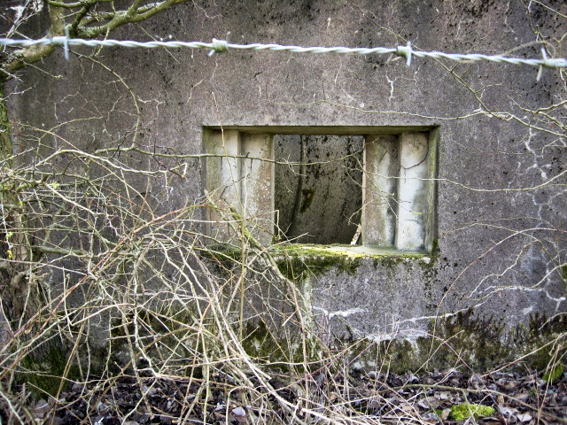 Ligne Maginot - HAMMELSWIESE  8 - (Blockhaus pour canon) - Faux créneau