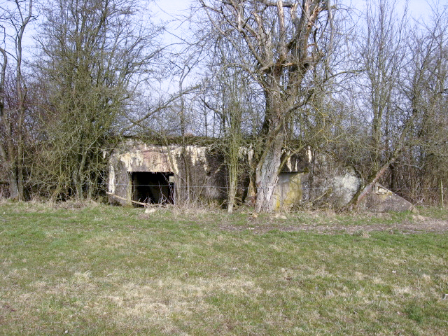 Ligne Maginot - HAMMELSWIESE  8 - (Blockhaus pour canon) - Façade arrière