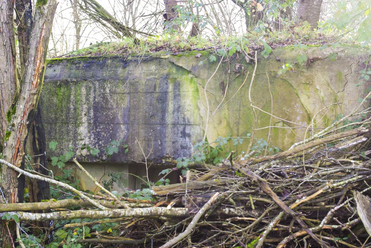 Ligne Maginot - HANFHUEBEL EST - (Blockhaus pour arme infanterie) - 