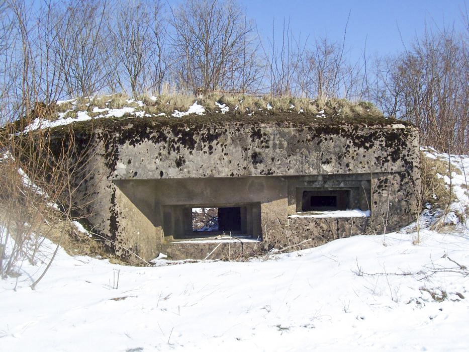 Ligne Maginot - HEILIGENBRONNEN OUEST - (Blockhaus pour canon) - Façade avant avec les créneaux