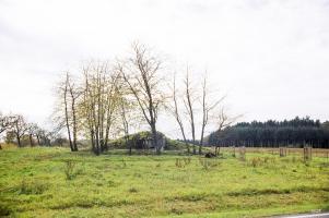 Ligne Maginot - SUD-EST DE HOLBACH - (Observatoire d'infanterie) - 