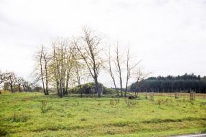 Ligne Maginot - SUD-EST DE HOLBACH - (Observatoire d'infanterie) - 