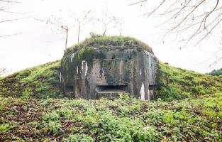 Ligne Maginot - SUD-EST DE HOLBACH - (Observatoire d'infanterie) - 