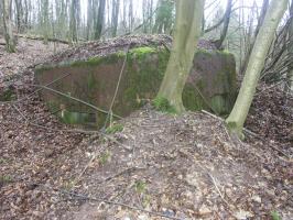 Ligne Maginot - KAPELLENHOFF 1 (AVANT POSTE) - (Blockhaus pour arme infanterie) - Vue d'ensemble du blockhaus