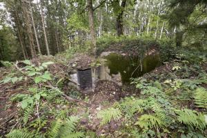 Ligne Maginot - WASENBERG 3 - (Blockhaus pour arme infanterie) - 