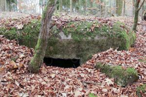 Ligne Maginot - GEISSBRONN (Blockhaus pour arme infanterie) - Une embrasure