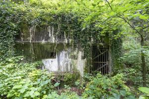 Ligne Maginot - 100 - WILLERBACH - (Casemate d'infanterie) - L'entrée