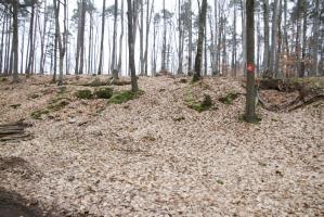 Ligne Maginot - PFAFFENBERG SUD - (Position d'artillerie préparée) - Les emplacements des pièces