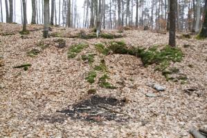 Ligne Maginot - PFAFFENBERG ( 4° BIE - 60° RAMF) - (Position d'artillerie préparée) - Les emplacements des pièces