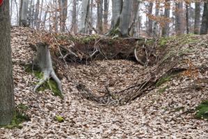 Ligne Maginot - PFAFFENBERG ( 4° BIE - 60° RAMF) - (Position d'artillerie préparée) - Les emplacements des pièces