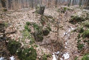 Ligne Maginot - PFAFFENBERG SUD - (Position d'artillerie préparée) - A proximité, de nombreuses traces de cagnas et tranchées