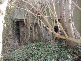 Ligne Maginot - A53 - CEDRE - (Blockhaus pour canon) - 