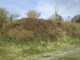 Ligne Maginot - A54 - LILAS - (Blockhaus pour canon) - Ce blockhaus, situé dans un bosquet à proximité de la D 50a a été remblayé et recouvert de broussailles.