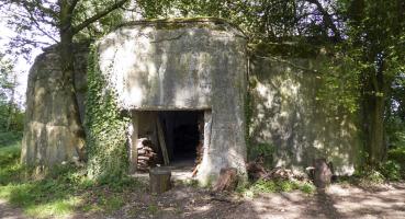 Ligne Maginot - A59 - PRESEAU EST - (Blockhaus pour canon) - 