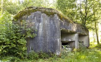 Ligne Maginot - A59 - PRESEAU EST - (Blockhaus pour canon) - 