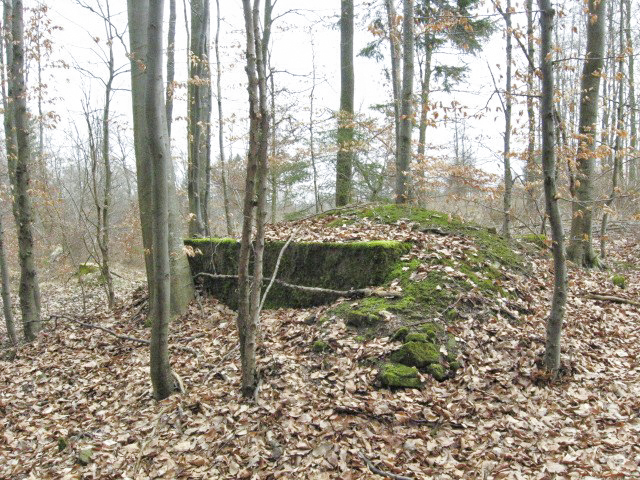 Ligne Maginot - HOLZSCHLAG 1 - (Blockhaus pour arme infanterie) - Vue générale