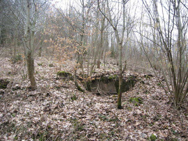 Ligne Maginot - SCHWANGERBACH 2 - (Blockhaus pour arme infanterie) - Vue générale