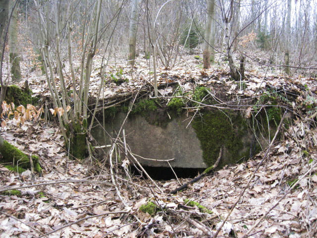 Ligne Maginot - SCHWANGERBACH 2 - (Blockhaus pour arme infanterie) - Façade de tir