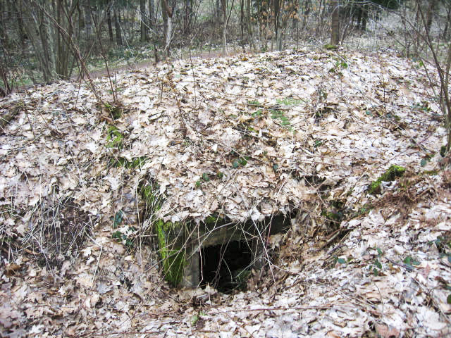 Ligne Maginot - SCHWANGERBACH 2 - (Blockhaus pour arme infanterie) - Façade arrière