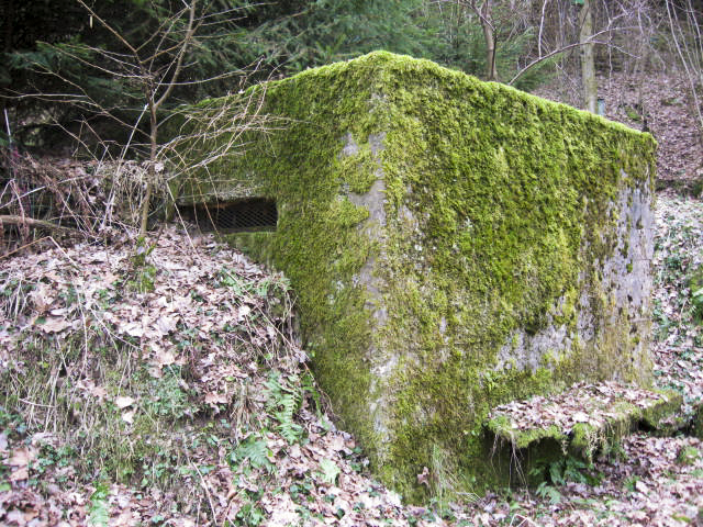 Ligne Maginot - SCHWANGERBACH 4 - (Observatoire d'infanterie) - 