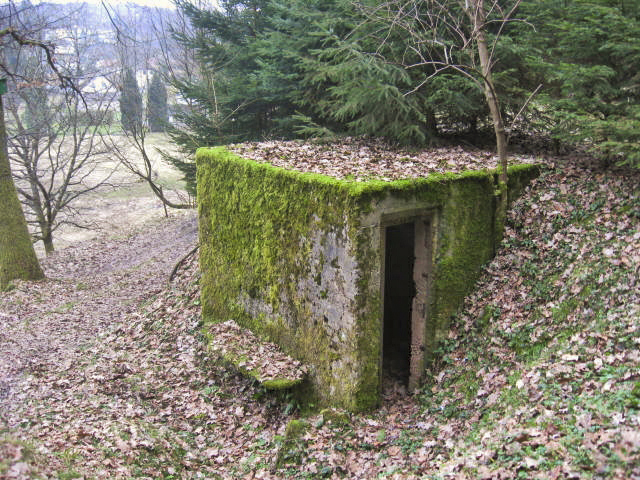 Ligne Maginot - SCHWANGERBACH 4 - (Observatoire d'infanterie) - 