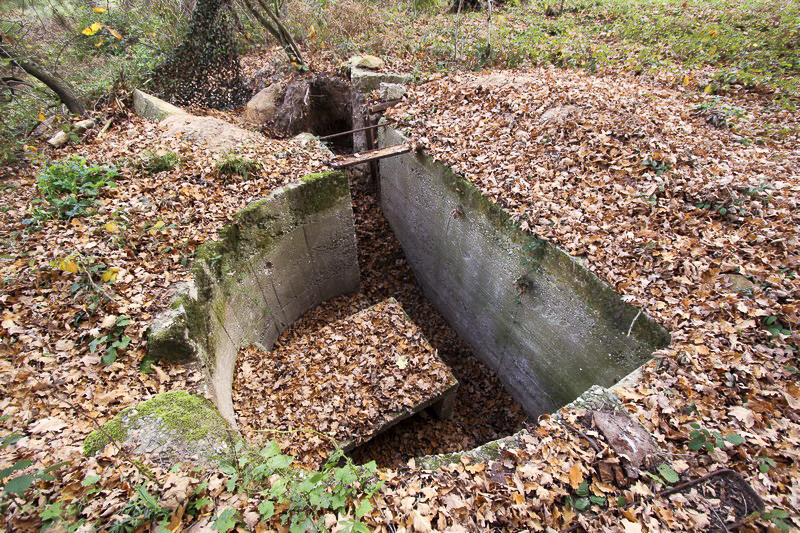 Ligne Maginot - FORT SEBASTIEN 2 (Cuve pour arme d'infanterie) - 