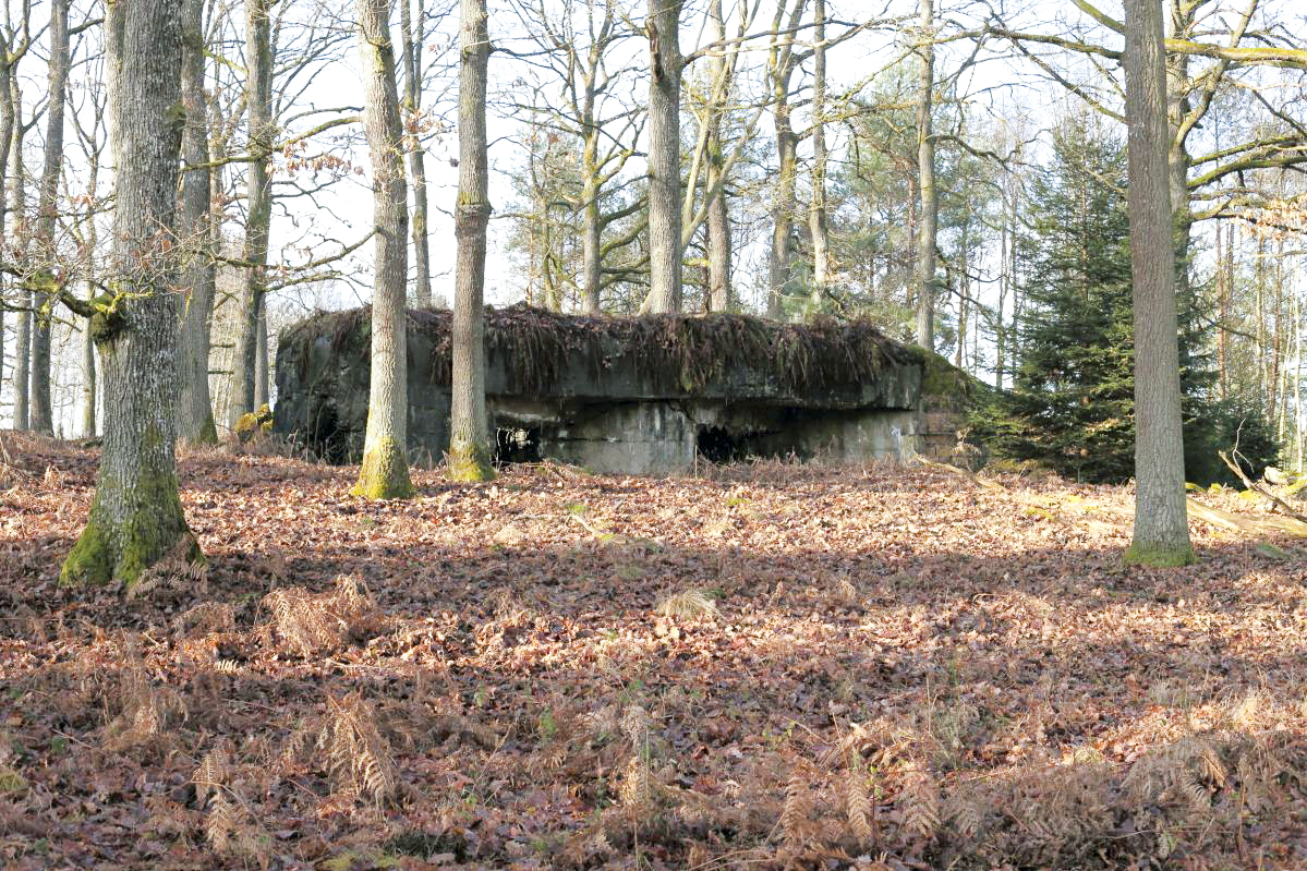 Ligne Maginot - GRAND HOHEKIRKEL 3 - (Blockhaus pour canon) - 