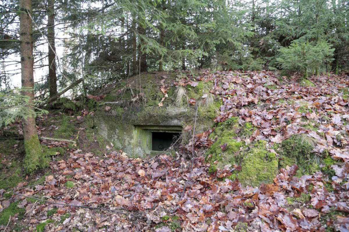 Ligne Maginot - PETIT HOHEKIRKEL 6 - (Blockhaus pour arme infanterie) - 