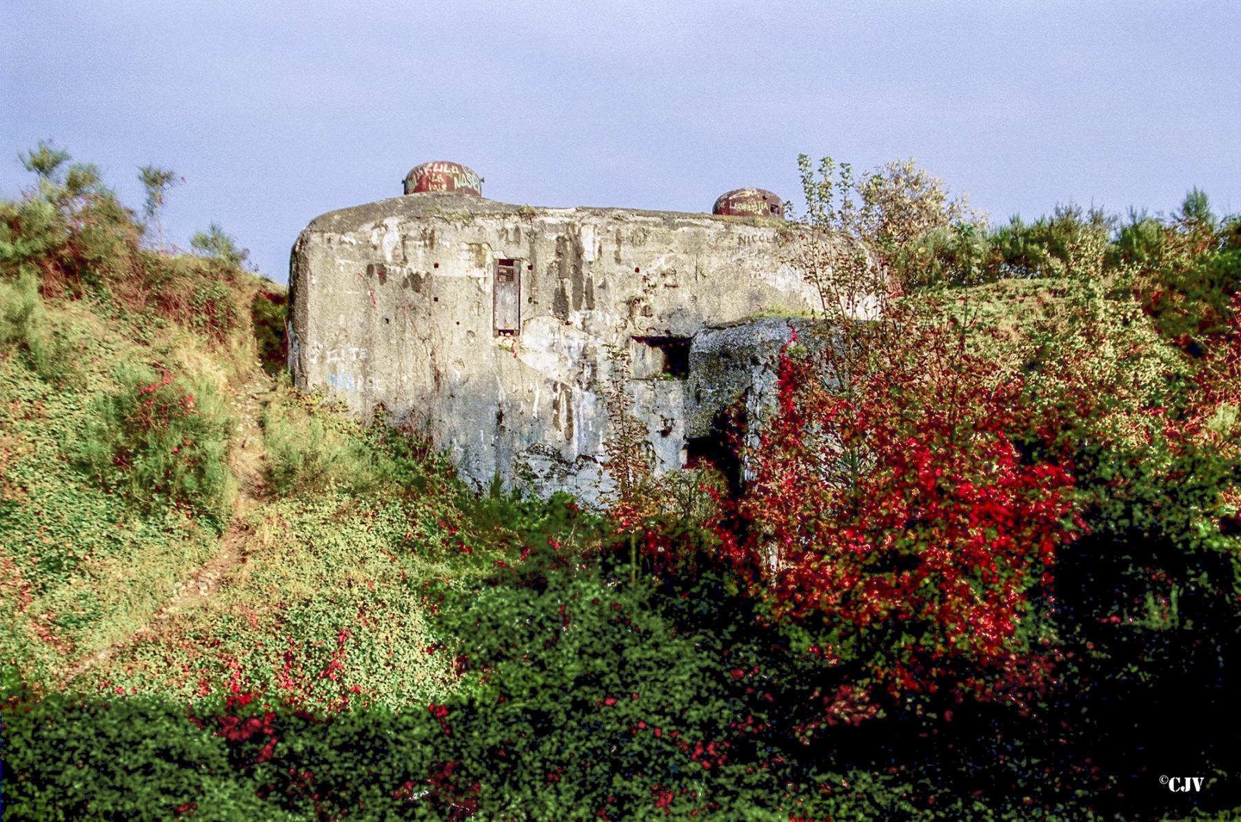 Ligne Maginot - FORT DE MAULDE - (Observatoire d'artillerie) - 