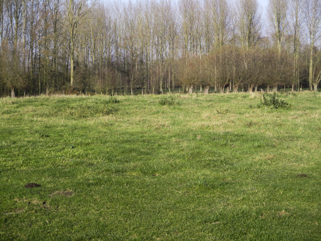 Ligne Maginot - CHARBON - (Blockhaus lourd type STG / STG-FCR - Double) - Emplacement de la base du blockhaus situé dans un pré en bordure de la D 368 - Rue de Bruille.