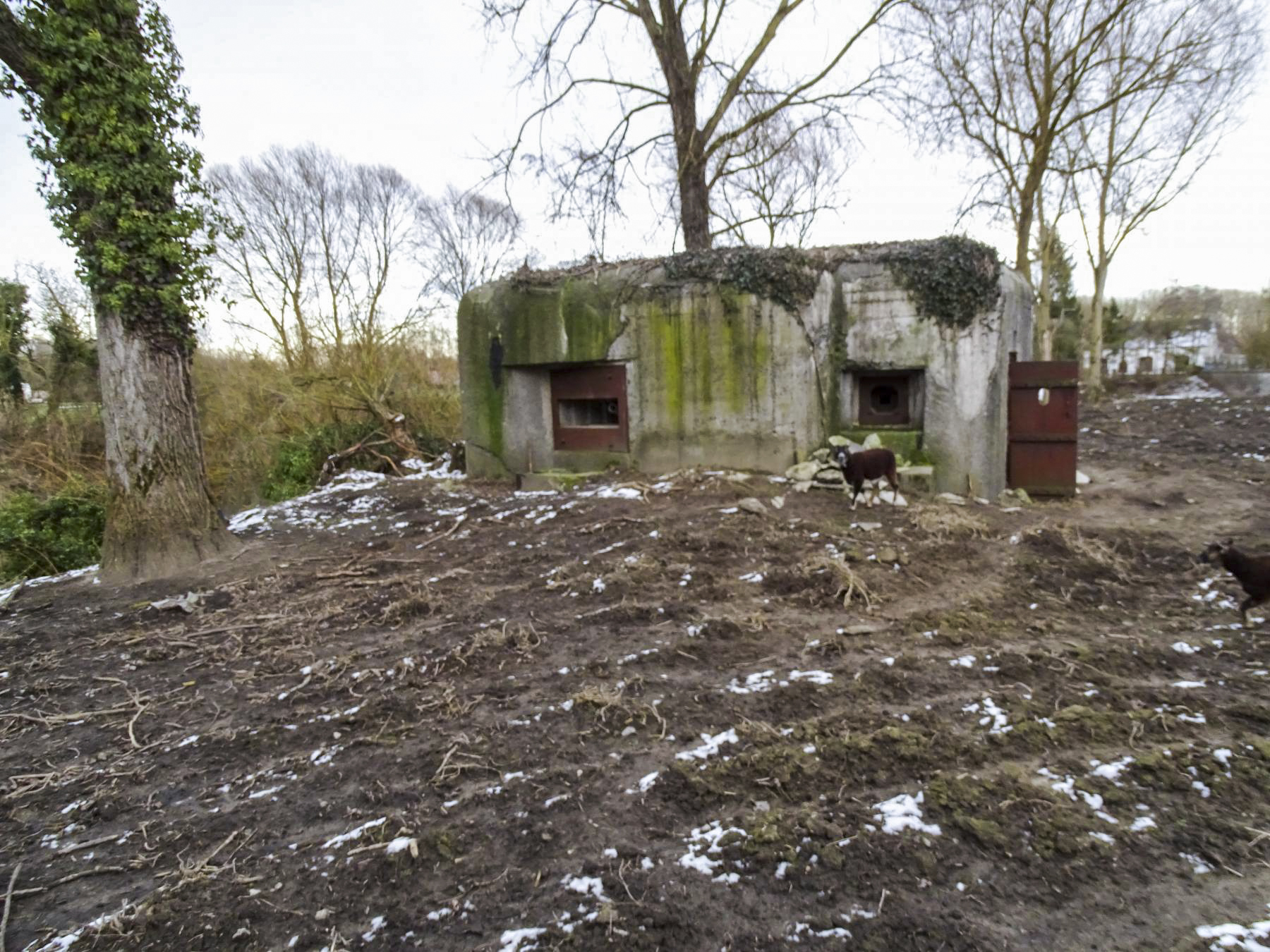 Ligne Maginot - ECLUSE DE RODIGNIES - (Blockhaus pour arme infanterie) - Les deux créneaux tirant vers Flines lez Mortagne
