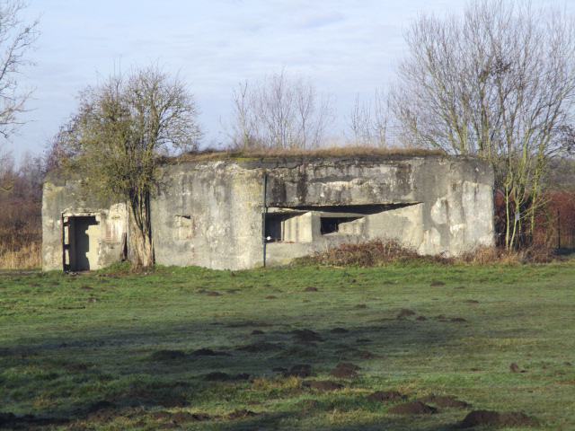 Ligne Maginot - RUBIS - (Blockhaus lourd type STG / STG-FCR - Double) - Situé dans un pré clôturé - Visible du Chemin Piré.