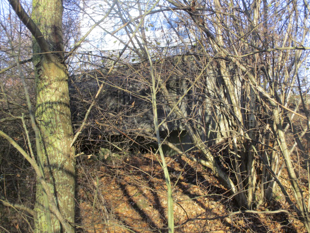 Ligne Maginot - VICQ EST - (Blockhaus lourd type STG / STG-FCR - Double) - Blockhaus visible de la D50.