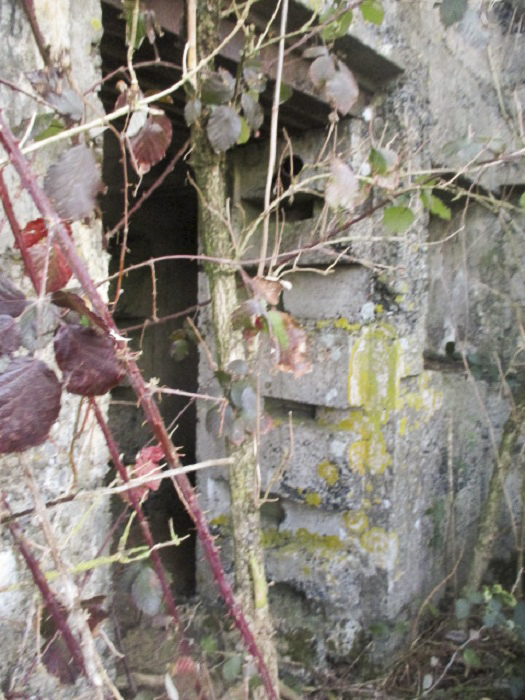 Ligne Maginot - A46 - GLAIEUL - (Blockhaus pour canon) - Entrée du blockhaus.