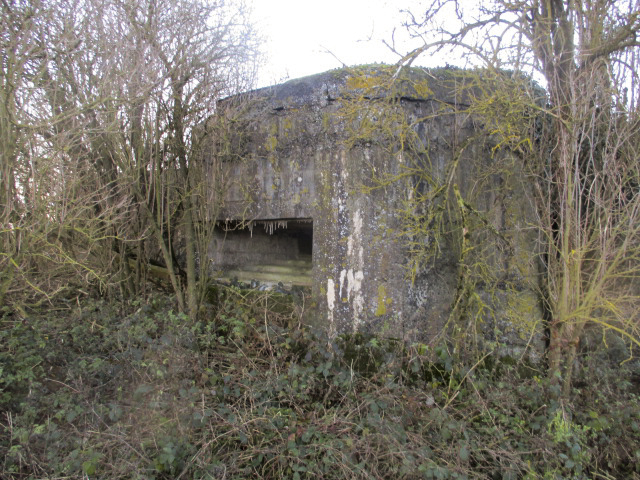 Ligne Maginot - A46 - GLAIEUL - (Blockhaus pour canon) - 