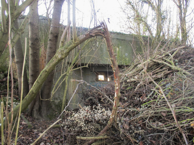 Ligne Maginot - A53 - CEDRE - (Blockhaus pour canon) - 